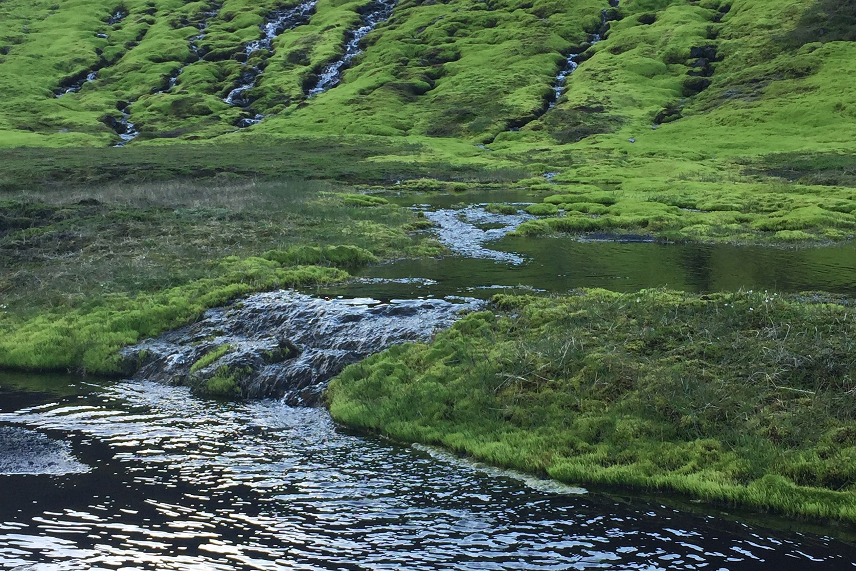 Þar sem grunnvatn kemur upp á yfirborð, tölum við um lind eða uppsprettu. Mynd: Helga Aradóttir