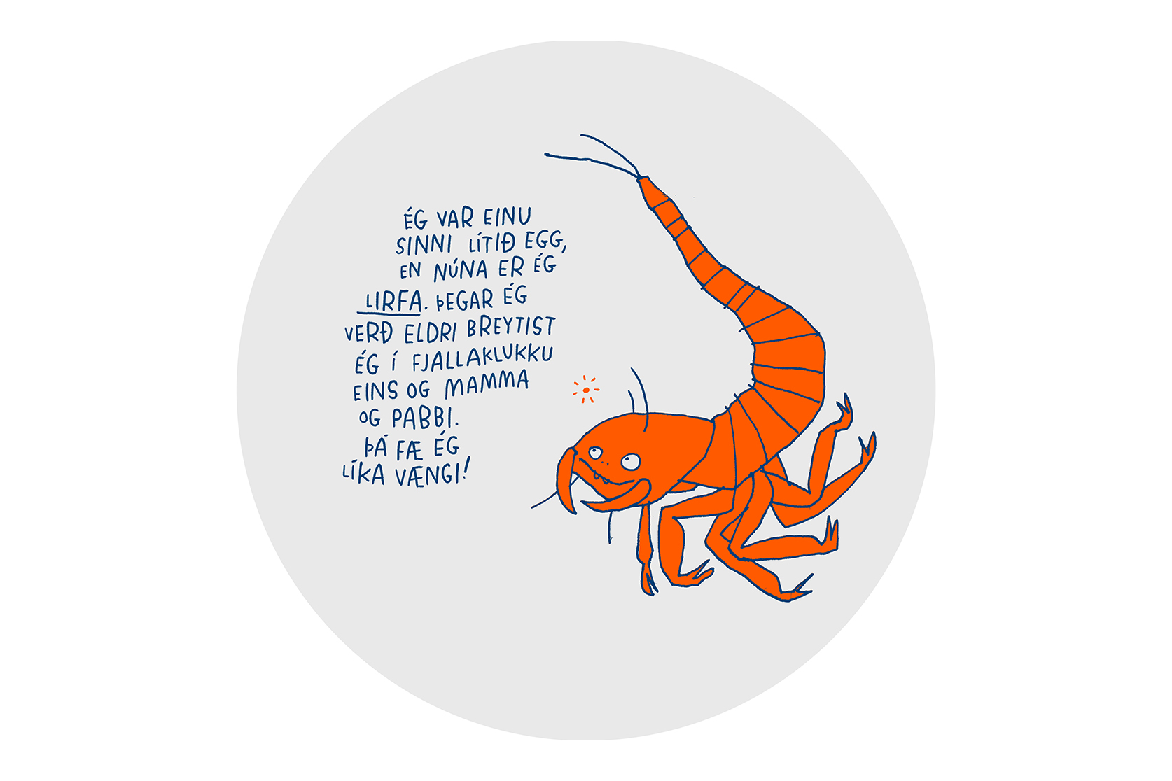 Vatnskötturinn. Teikning: Rán Flygenring