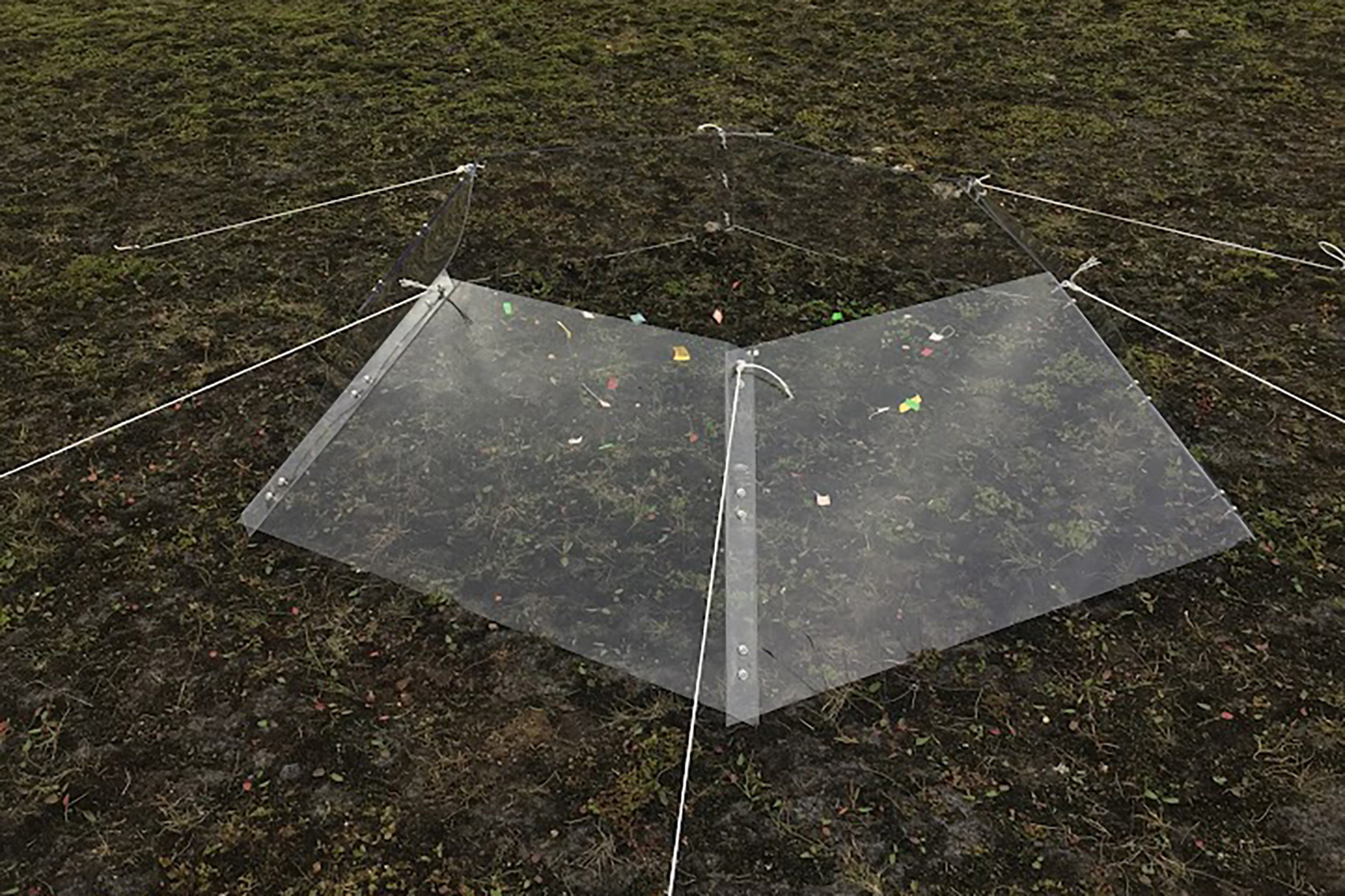 Tilraunir á Auðkúluheiði á áhrifum hlýnunar á heiðagróður hafa verði gerðar með hjálp plastbúra sem eru opin að ofan (e. Open top chamber).