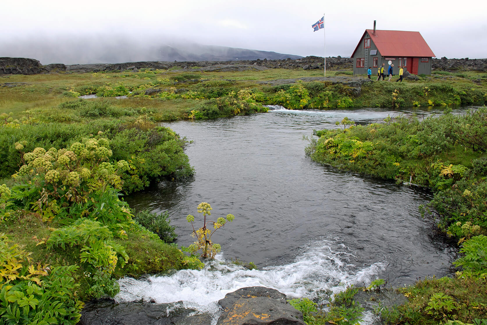 Herðubreiðarlindir. Mynd: Wikimedia Pjt56
