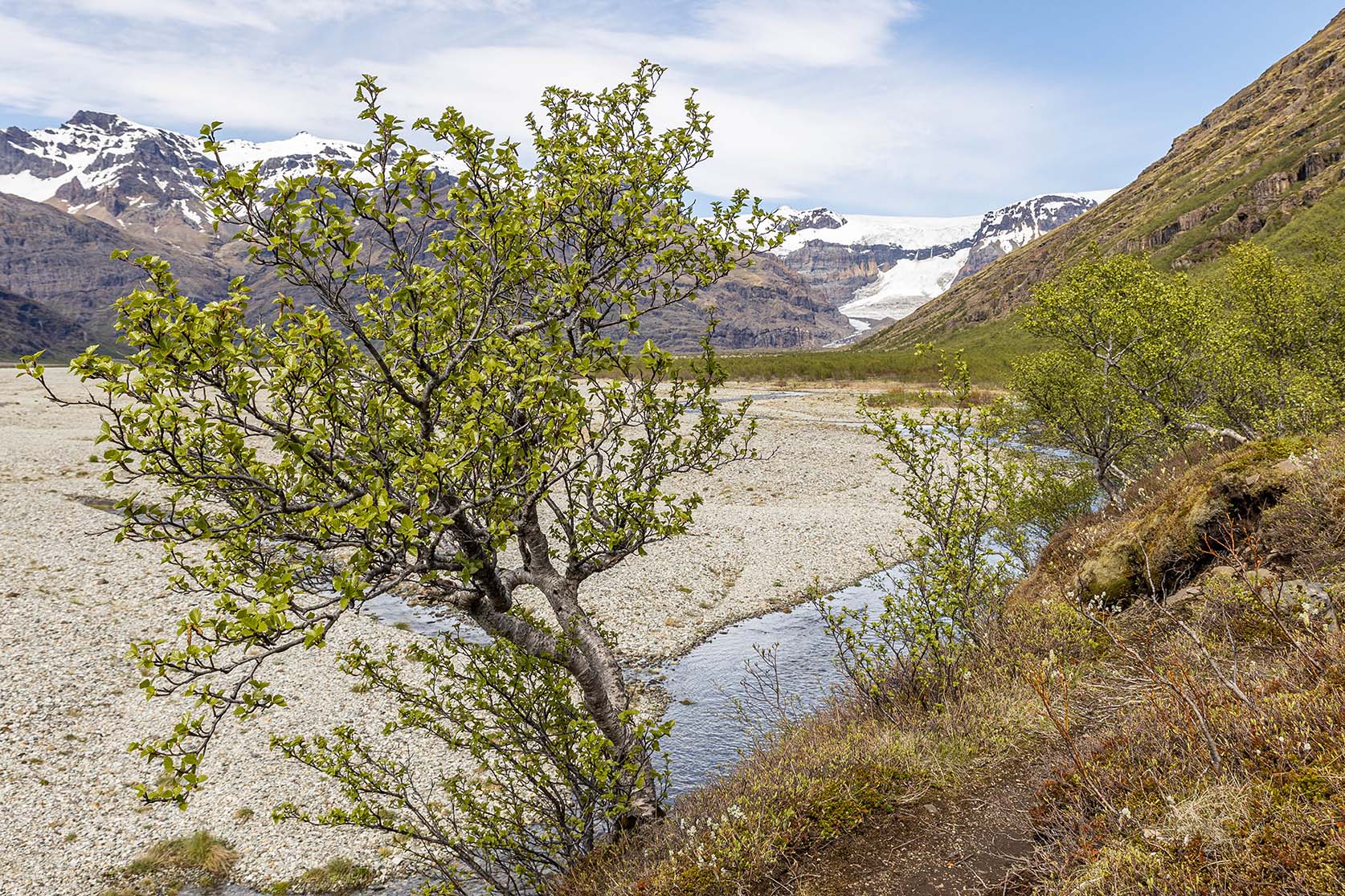 Morsárdalur. Mynd: Auður Lilja Arnþórsdóttir