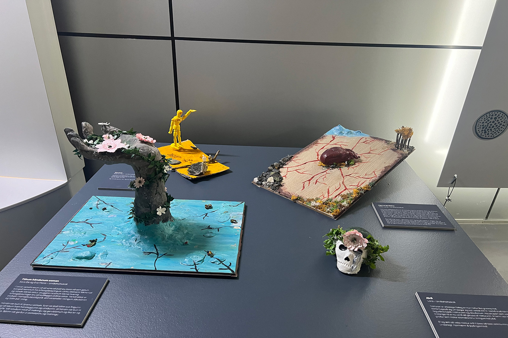 mynd-20240423-135932dc7e5cbe